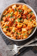 Delicious spicy Bolognese pasta with minced beef, tomatoes, vegetables close-up in a plate on the table. Vertical top view from above