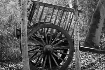 Fototapeta na wymiar old wagon wheel