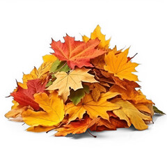 Pile of autumn colored leaves on isolate transparency background, PNG. A heap of different maple dry leaf .Red and colorful foliage colors in the fall season