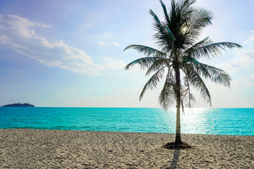 Beach in Sihanoukville. Palm trees and blue sea