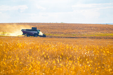 Ryazan, Russia - September 14, 2023: combine harvester working in the field.