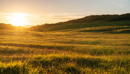 Sunny Summer Meadow: A Beautiful Landscape at Sunset