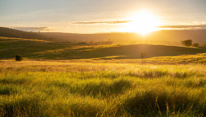 Golden Sunrise Over the Rolling Hills: A Scenic Morning View of the Rural Meadow