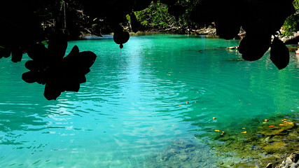 The Blue Lagoon on the island of Efate in Vanuatu.