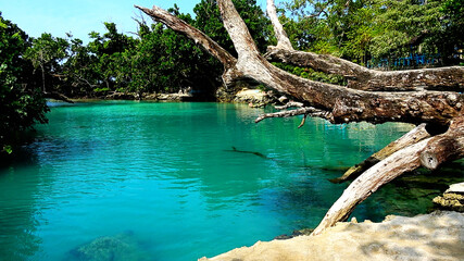 The Blue Lagoon on the island of Efate in Vanuatu.