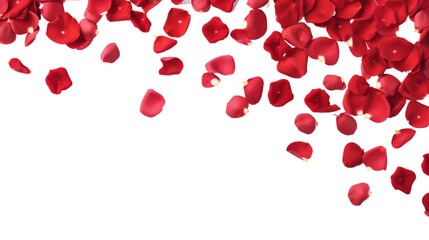 red rose petals  - Powered by Adobe