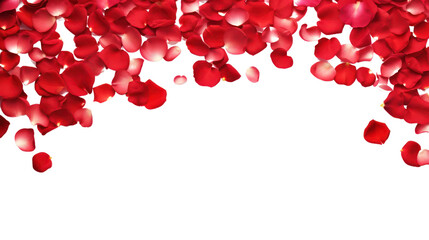red rose petals  - obrazy, fototapety, plakaty