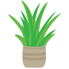 table plant or vass, aloe vera plant in pot png / Vector
