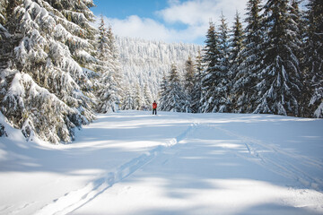 Young adult cross-country skier aged 20-25 making his own track in deep snow in the wilderness...