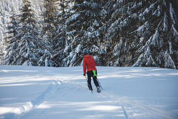 Young adult cross-country skier aged 20-25 making his own track in deep snow in the wilderness during morning sunny weather in Beskydy mountains, Czech Republic