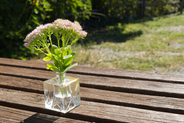 a glass vase with flowering succulents over a wooden table in the garden
