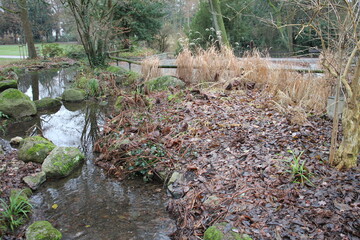 Obraz premium park bach