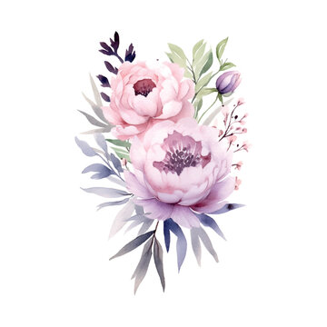 soft neutral pink purple watercolour peonies arrangement boho floral white isolated background