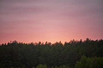 Evening Descends with a Colorful Display of Nature’s Beauty Over the Tranquil Woods. The Horizon Lights Up with Warm Colors as Dusk Falls Over a Peaceful Forest.