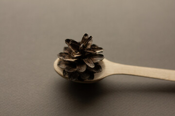 Christmas tree cone in a wooden spoon