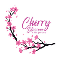 Obraz na płótnie Canvas Branch of sakura with flowers and leaves on white background. Cherry blossom spring design.