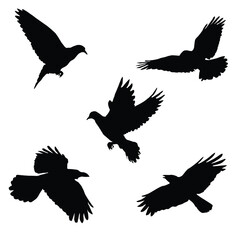 Vector silhouette of flying birds vector isolated