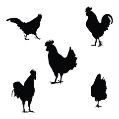 vector silhouette chicken and rooster