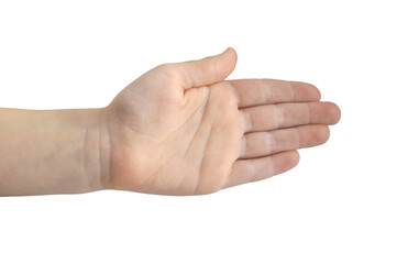 A child's palm with clenched fingers. Transparent background.