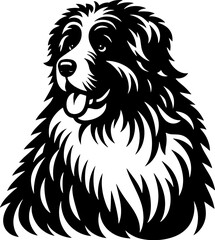 Polish Tatra Sheepdog icon 14