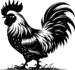 Polish Chicken icon 2