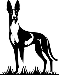 Podenco Canario icon 14