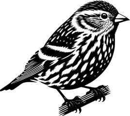 Pine Siskin icon 11