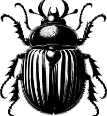 Pine Beetle icon 8