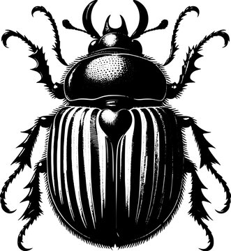 Pine Beetle icon 8