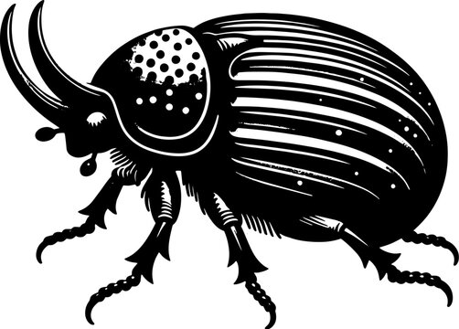 Pinacate Beetle icon 9