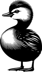 Pied Billed Grebe icon 4