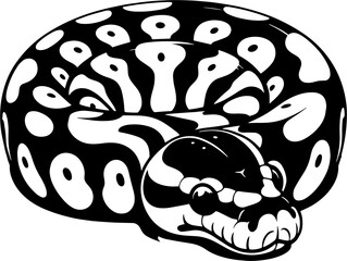 Pied Ball Python icon