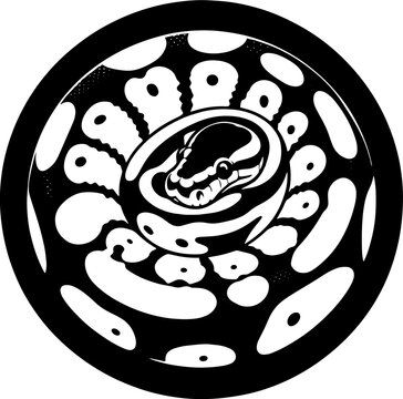 Pied Ball Python icon 9
