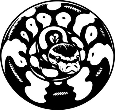 Pied Ball Python icon 3