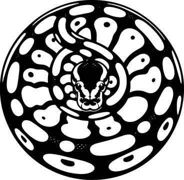 Pied Ball Python icon 6