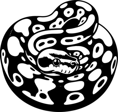 Pied Ball Python icon 1