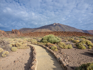 Landscape of Teide National Park