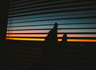 Sunset on window shade