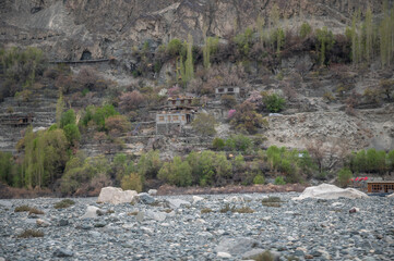 Houses in a valley with green nature and rocky hills in Ladakh, India. Ladakh's beautiful mountain landscape on the river shore.
