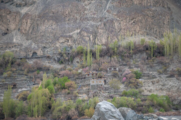 Houses in a valley with green nature and rocky hills in Ladakh, India. Ladakh's beautiful mountain landscape on the river shore.
