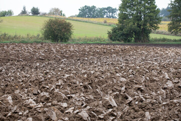 Ploughed field, soil, dirt - furrows of plowed land, autumn in agriculture, Poland