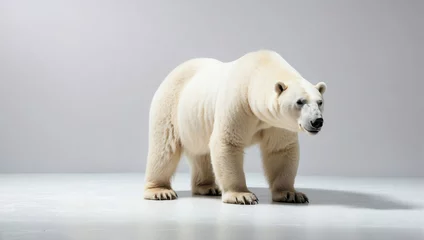 Foto op Canvas Majestic polar bear standing in a minimalist photography studio with a soft neutral backdrop, showcasing its powerful stature. © Tom