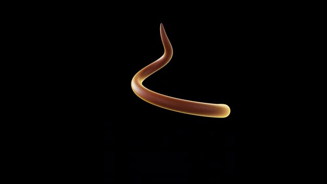 Close-up of a funny SHIT emoticon on a white background. 3d rendering animation	
