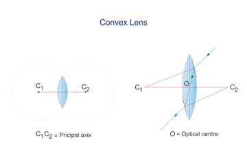 Convex lens. Principal axix and optical centre. Optics. Physics vector illustration.