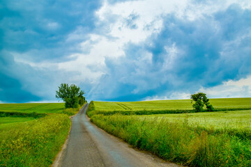Fototapeta na wymiar Landscape with road through a wheat field 