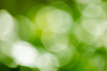 Green bokeh background. Green bokeh on nature defocus art abstract blur background.