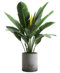 Outdoor-Kissen Green houseplant in pot PNG © Andsx