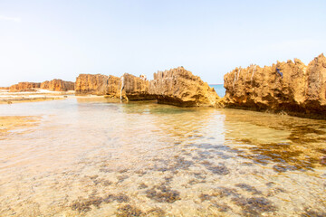 Fototapeta na wymiar Beautiful day on the beach in Rimel, Bizerte, Tunisia