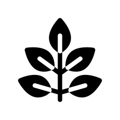 Naklejka premium eucalyptus glyph icon