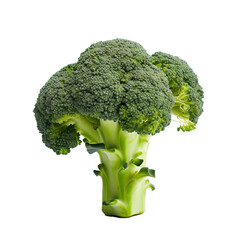 Generative AI image of A delicious Green broccoli on a transparent background
